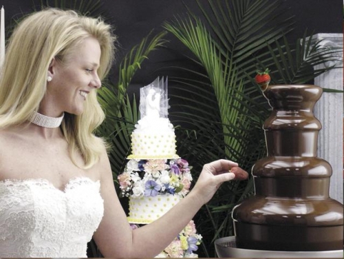Chocolate Fountain