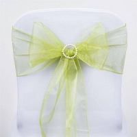 Sash, Organza Sage Green 6''x108''