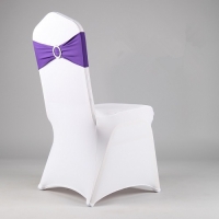 Chair Cover, Spandex White