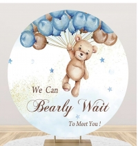 Baby Shower Backdrop